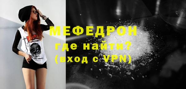 spice Богородицк