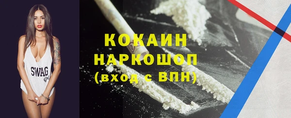 spice Богородицк