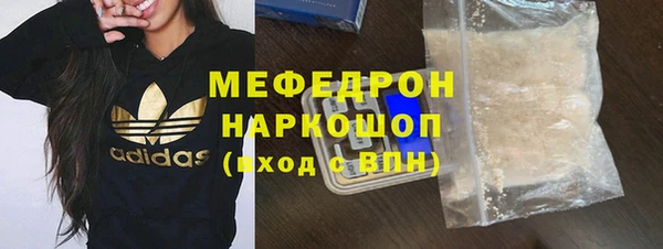 spice Богородицк