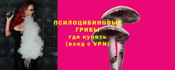 СК Богородск