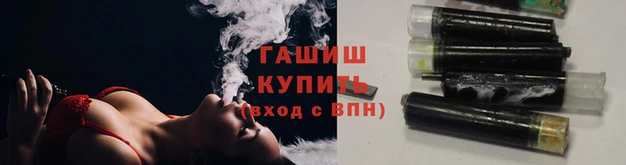 spice Богородицк