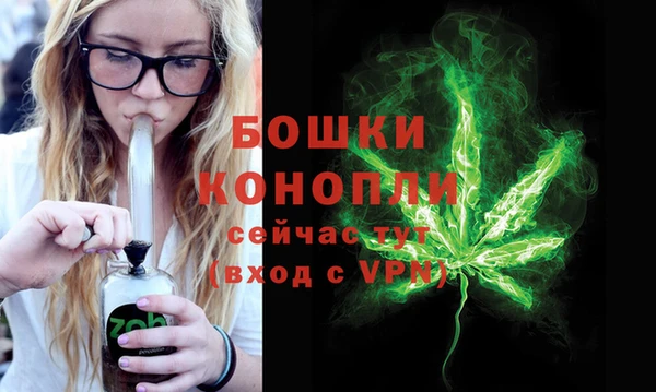 СК Богородск