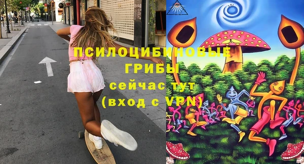 СК Богородск