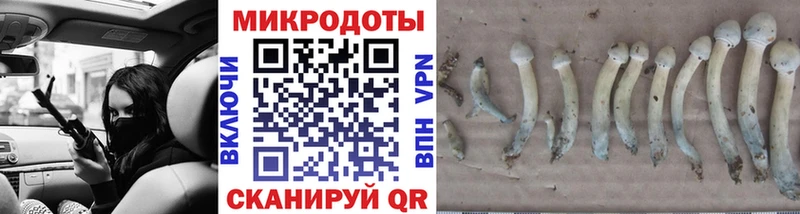 Галлюциногенные грибы прущие грибы  Купить где  Губкин 