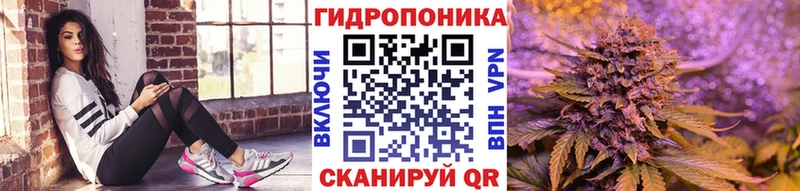 Купить закладки  Губкин  МАРИХУАНА сатива 